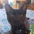 Elizabeth Bortkiewicz's profile image