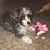 Debby H.'s profile image