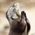 Steph L'Eagle Davis's profile image