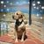 Debra Hetland Domagala's profile image