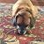 Corinne Rainey's profile image