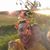 Tony Kosloski's profile image