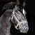 Tamme Kendall's profile image