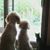 Jane Thomas-Bedel's profile image