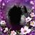 Kelly Rae Cantwell's profile image
