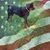 Carmen M. Diaz's profile image