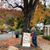 Faith C Dangerfield's profile image