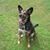 Carol Rhodes's profile image