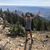 Chelsie Schaeffer's profile image