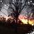 Lori Ann Byrd-Bailey's profile image