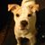 Carol Jo Matthews's profile image