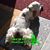 Christine Goldman's profile image