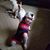 Tammy Odle's profile image