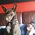 Patti Thompson's profile image
