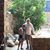 Lisa Lauterbach's profile image