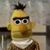 Scott Cordell's profile image