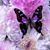 Lorrie Risler's profile image