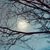 Leslie Heitz Spetz's profile image
