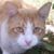 Judy Lafleur's profile image