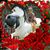 Charly Penaran's profile image