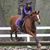 Jamie Farraye Hetke's profile image