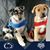 Lisa Emeigh Culwell's profile image