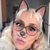 Nixza Yesica Sobenes Abarca's profile image