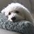 Sandy Runions Uebele's profile image