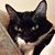 Dianne Bensette's profile image