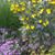 Wendy Alane Schleyer's profile image