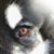 Jennifer Bugay's profile image