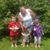 Ann Lawson-Holt's profile image