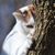 Pamela J Peterson's profile image
