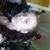 Kindell Rose Wisdom Roberts's profile image