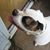 Melissa Gail's profile image