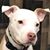George Bunero's profile image