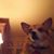 Mary Jane Isaac's profile image