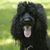 Nancy R Eno's profile image