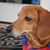 Kathy Price's profile image