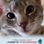 Lola Pudinski's profile image
