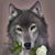 Joel Garcia's profile image