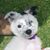 Sarah Elita Ryan's profile image