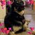Michelle Murry's profile image
