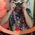 Ryan Smetana's profile image