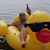 Wayne Eidman's profile image
