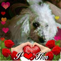 Louise Turner's profile image