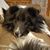 Laurie Danboise's profile image