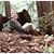 Amy Ann Talley's profile image