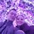 Nicole N Anthony's profile image