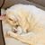 Kimberly Walburn's profile image